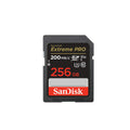 SD Cards 256 GB