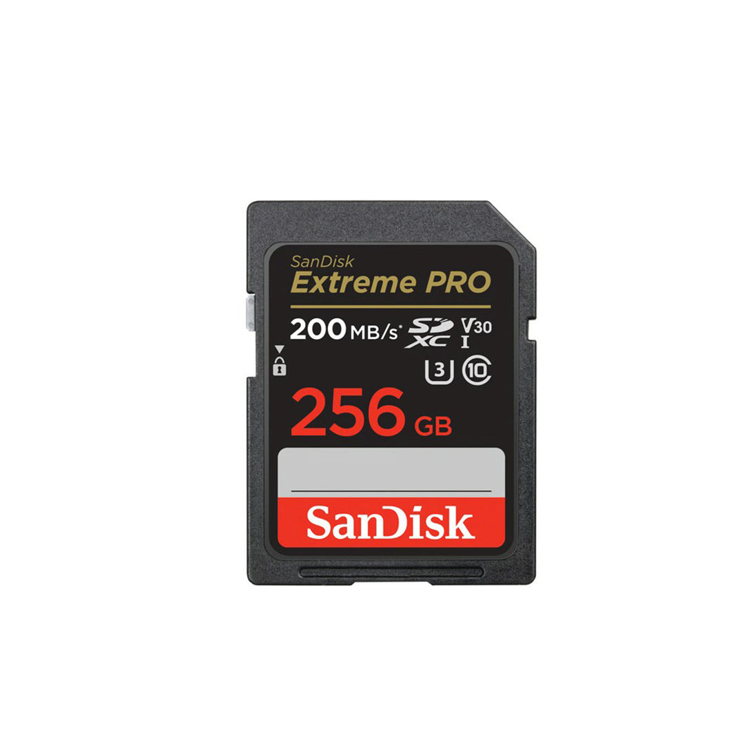 SD Cards 256 GB